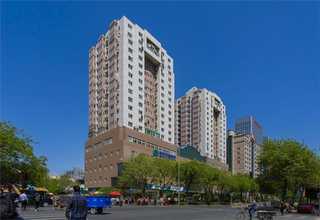 养护花木金堂县